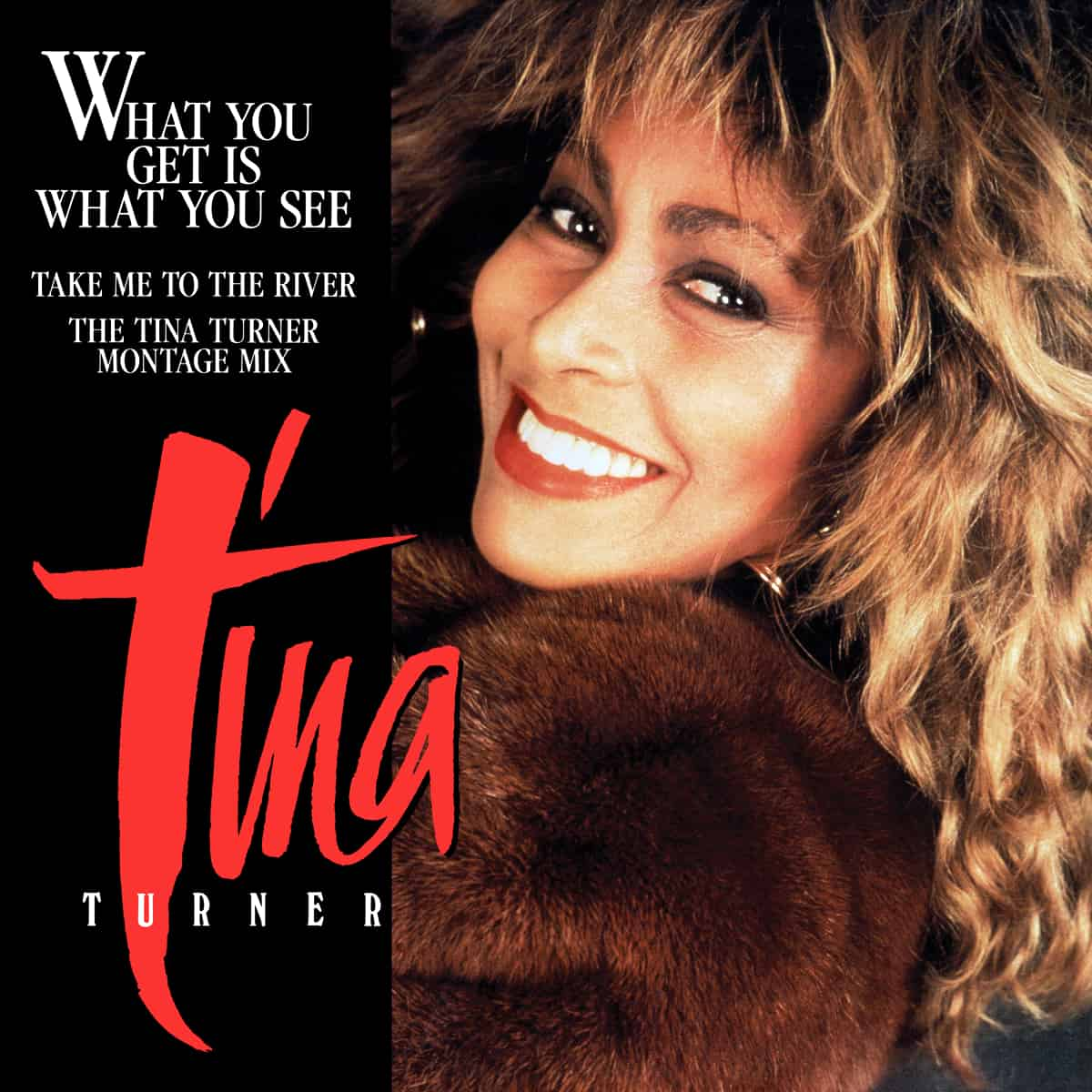 Tina Turner - What You Get Is What You See - Single