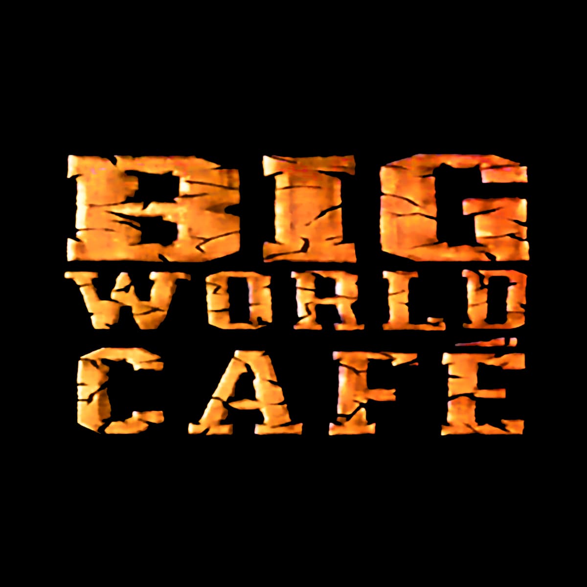 Tina Turner - Big World Cafe - TV