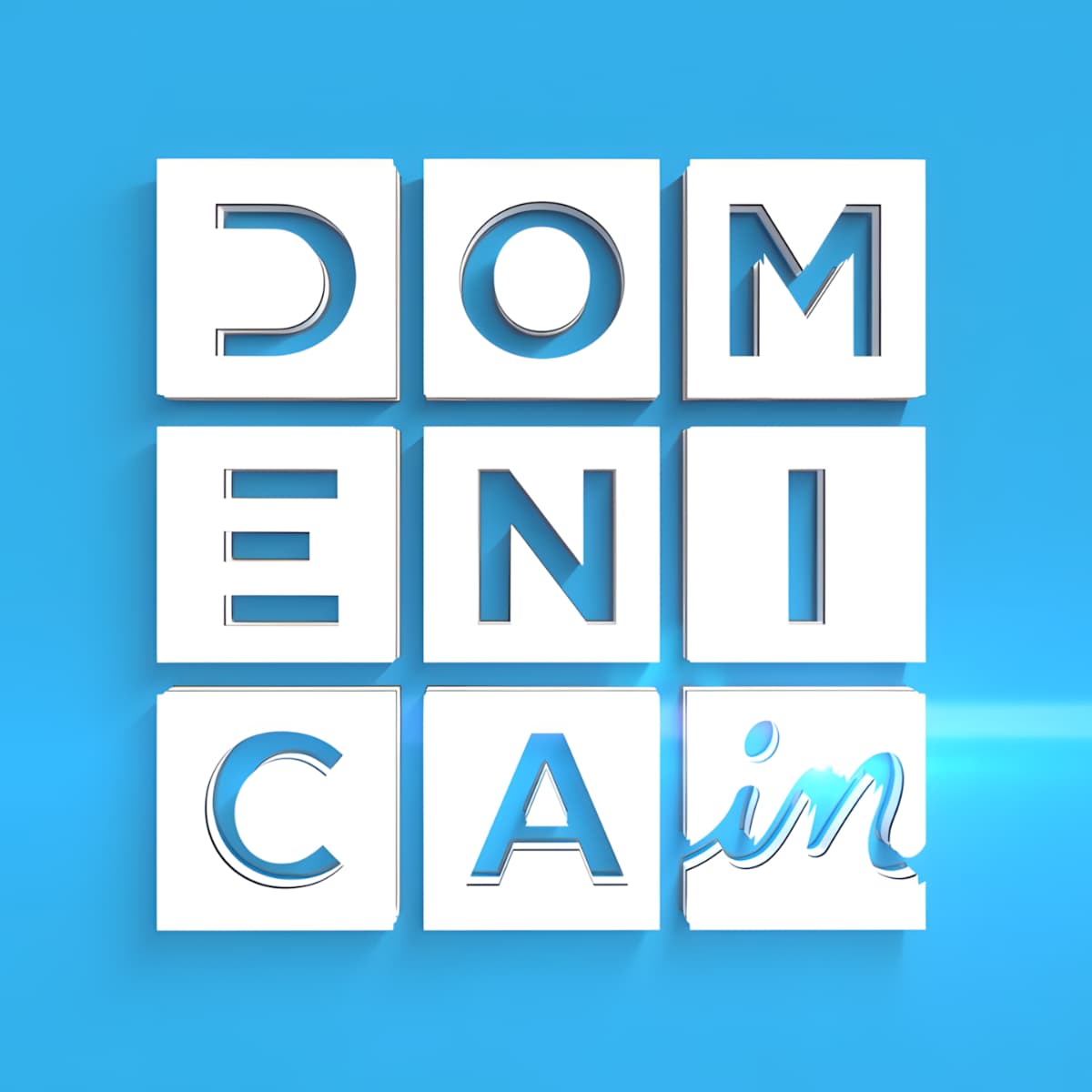 Tina Turner - Domenica in - TV