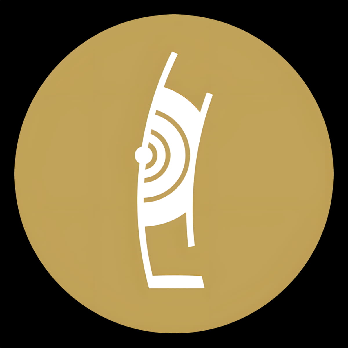 Tina Turner - Echo - TV