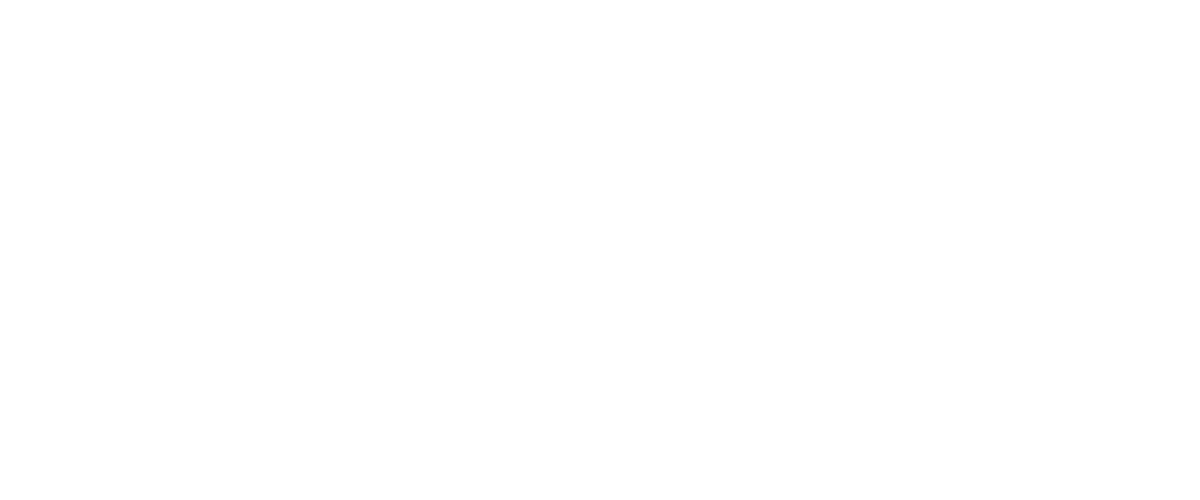 Tina Turner - Fantastico - TV