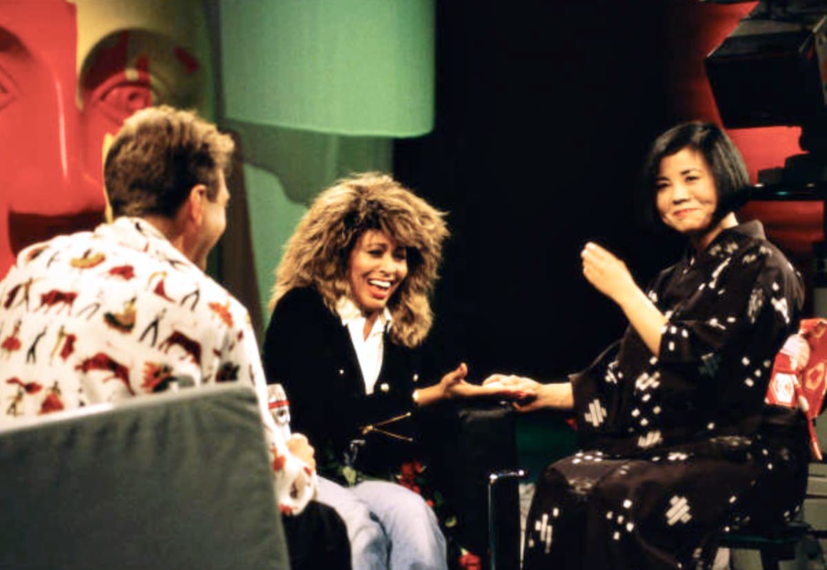 Tina Turner - Grell-Pastell - TV