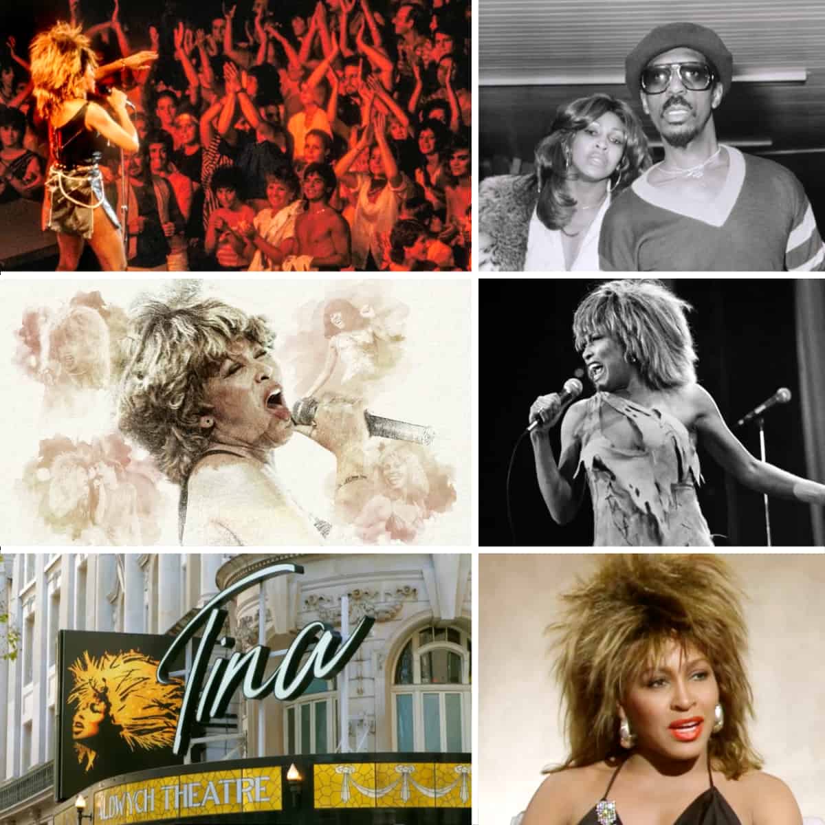 Tina Turner - Lives Well Lived - TV