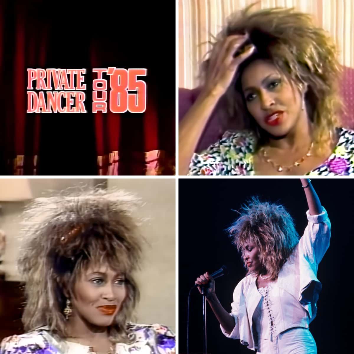 Tina Turner - NTV Newfoundland - TV