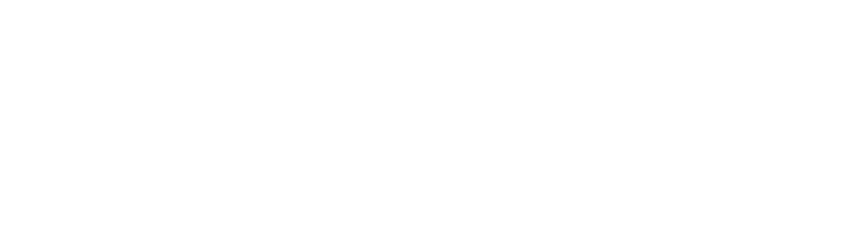 Tina Turner - Nordic Music Awards - TV