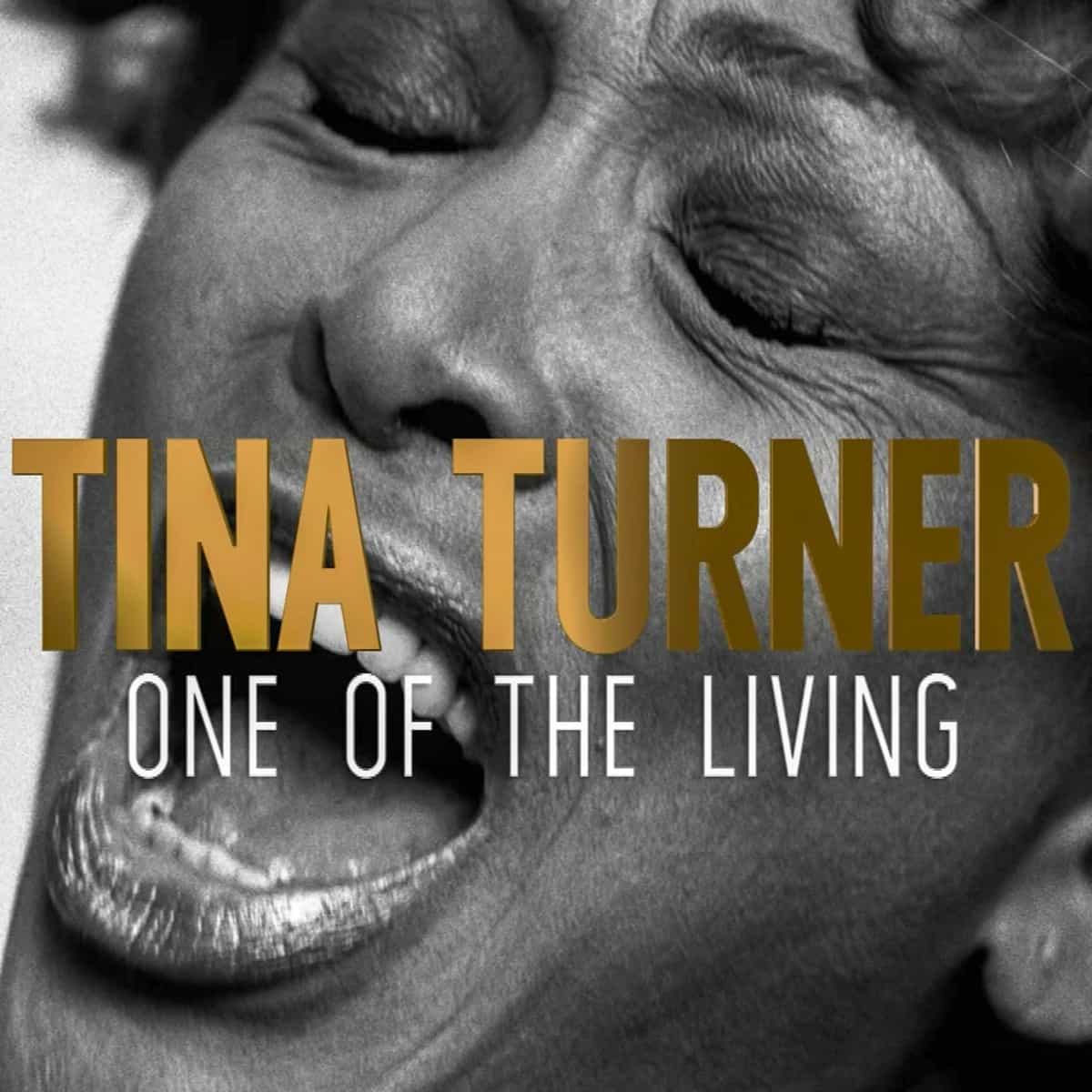 Tina Turner - One Of The Living - TV