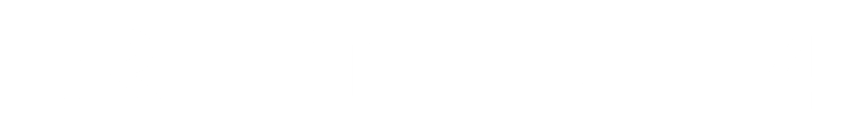 Tina Turner - RTL 4 - TV