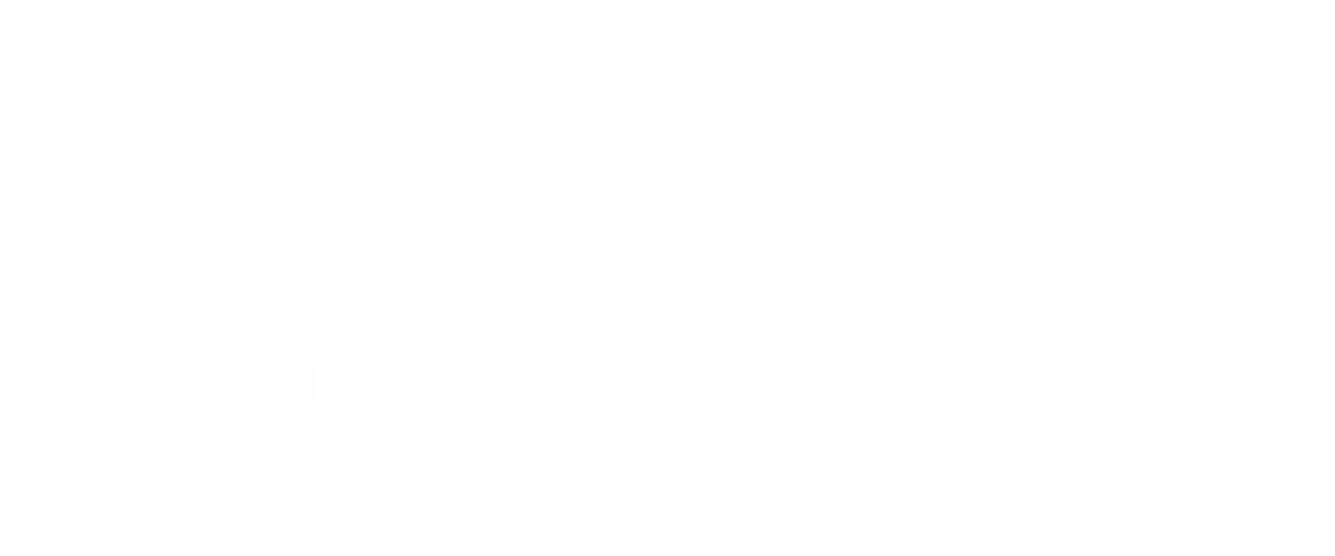 Tina Turner - SKL-Show - TV