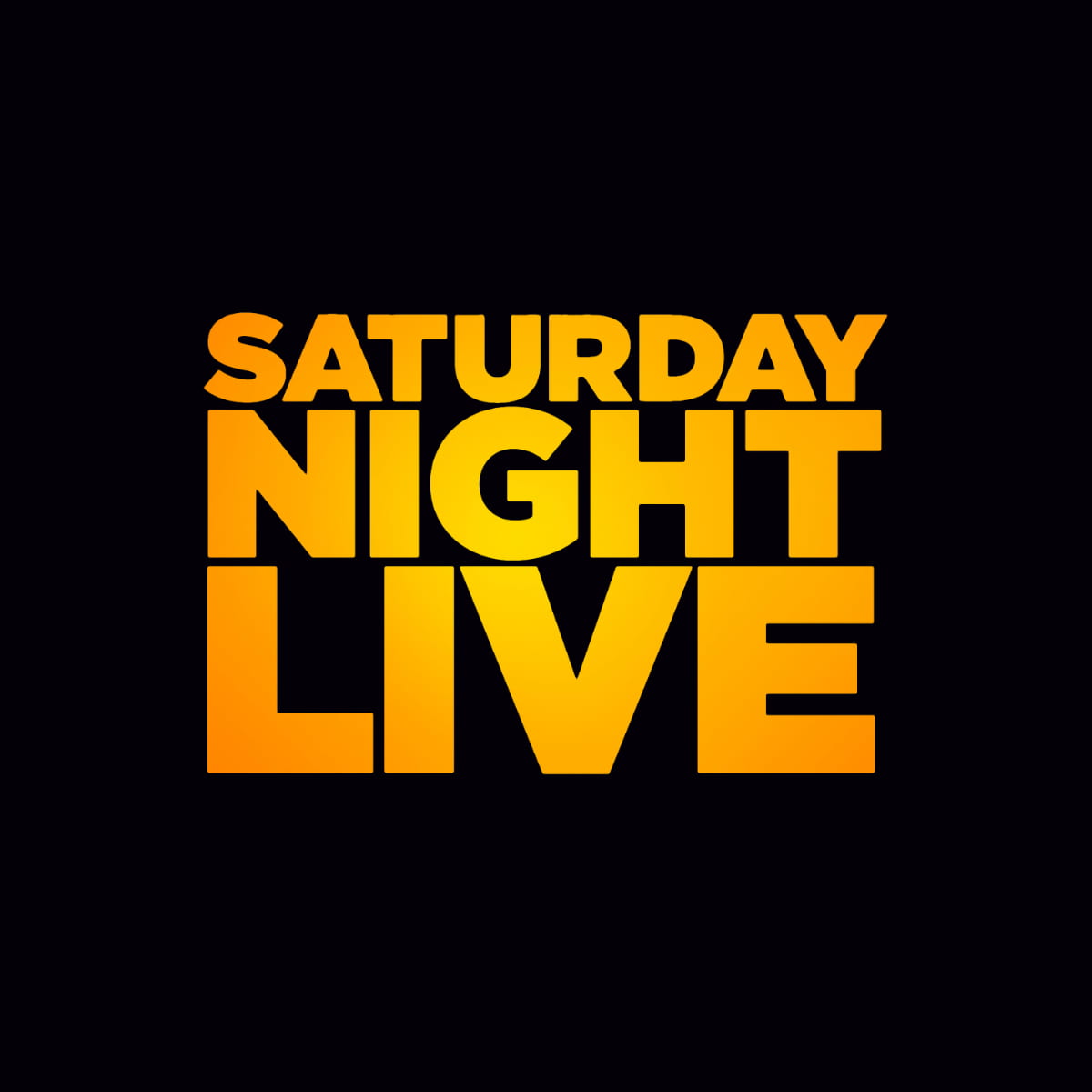 Tina Turner - Saturday Night Live - TV
