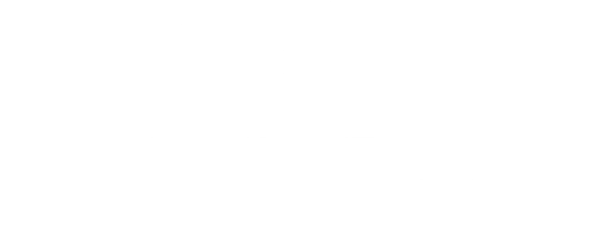 Tina Turner - Saturday Night Live - Video
