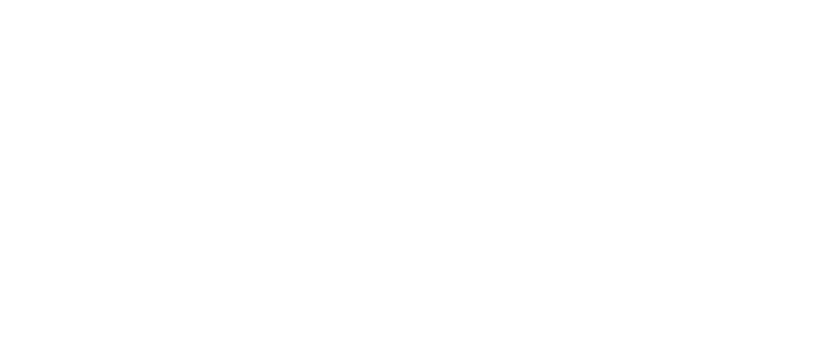 Tina Turner - Star Academy - TV