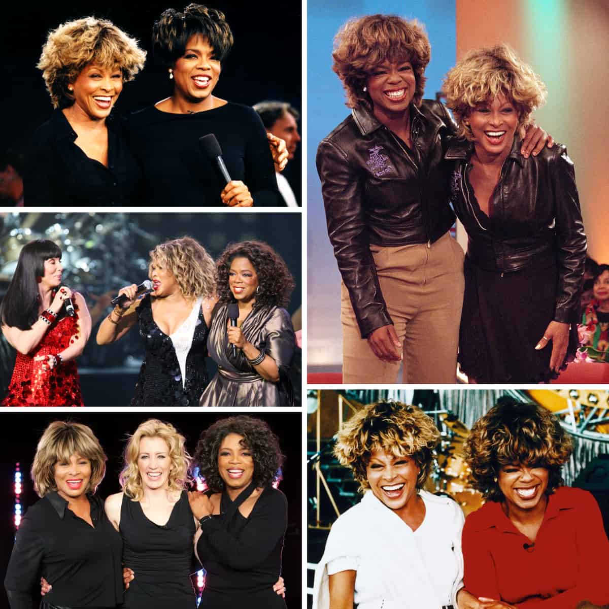 Tina Turner - The Oprah Winfrey Show - TV