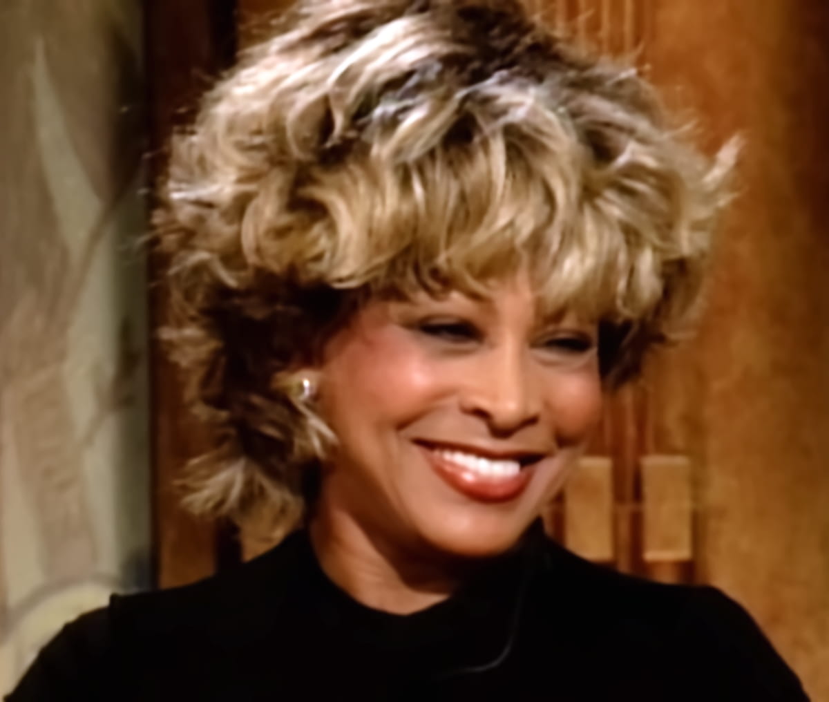 Tina Turner - The Vault - TV