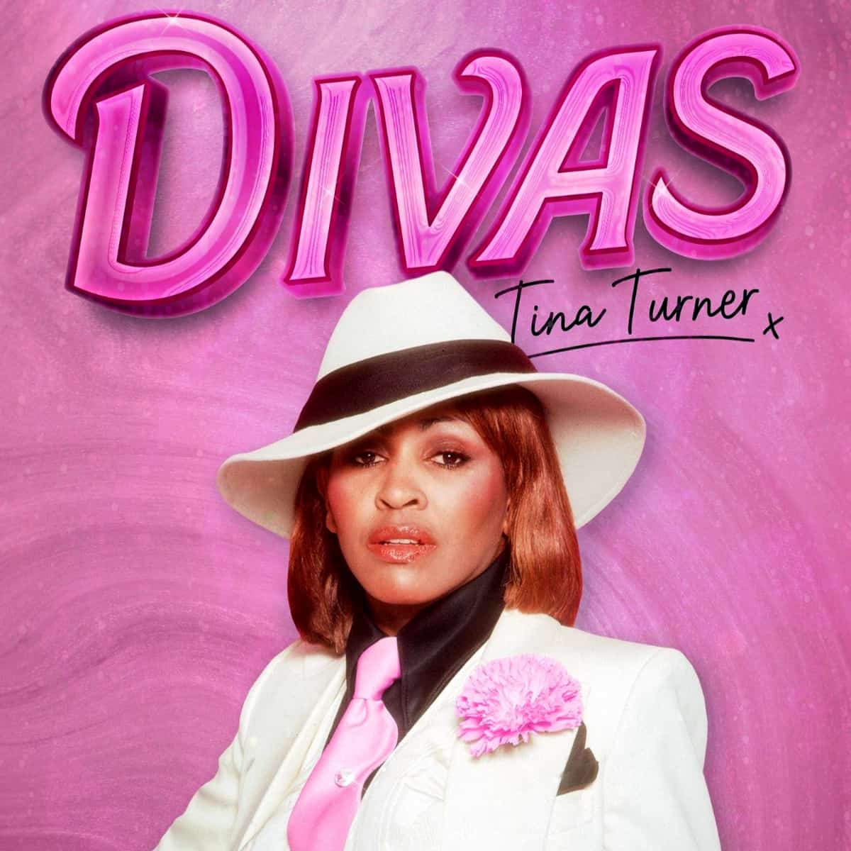 Tina Turner - Divas - Video