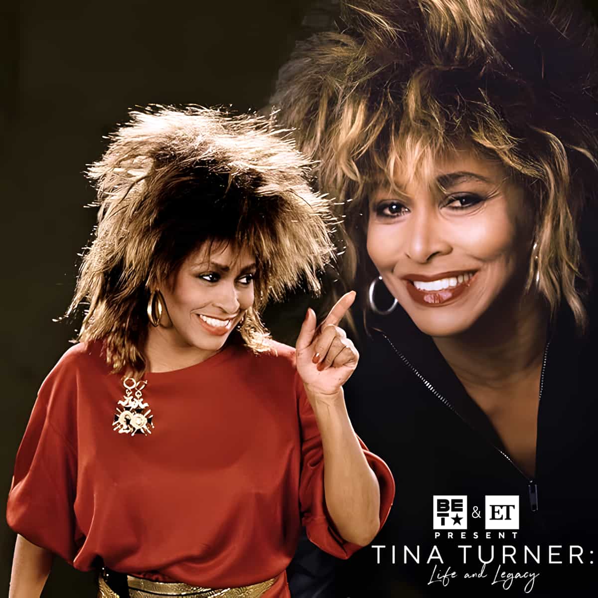 Tina Turner - Life and Legacy - Video