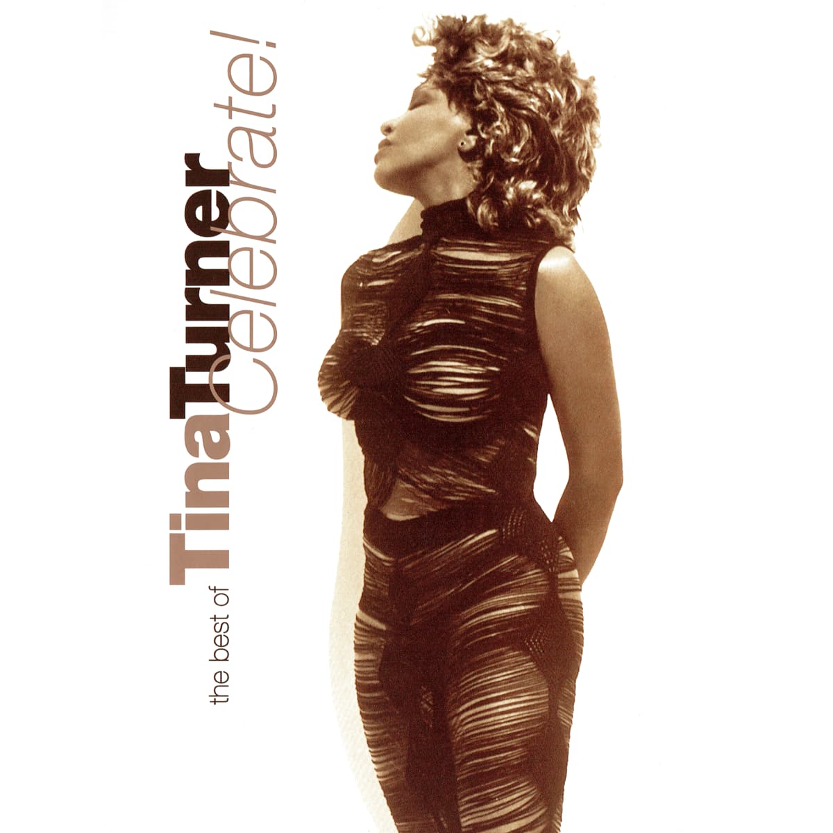 Tina Turner - Celebrate! - Video